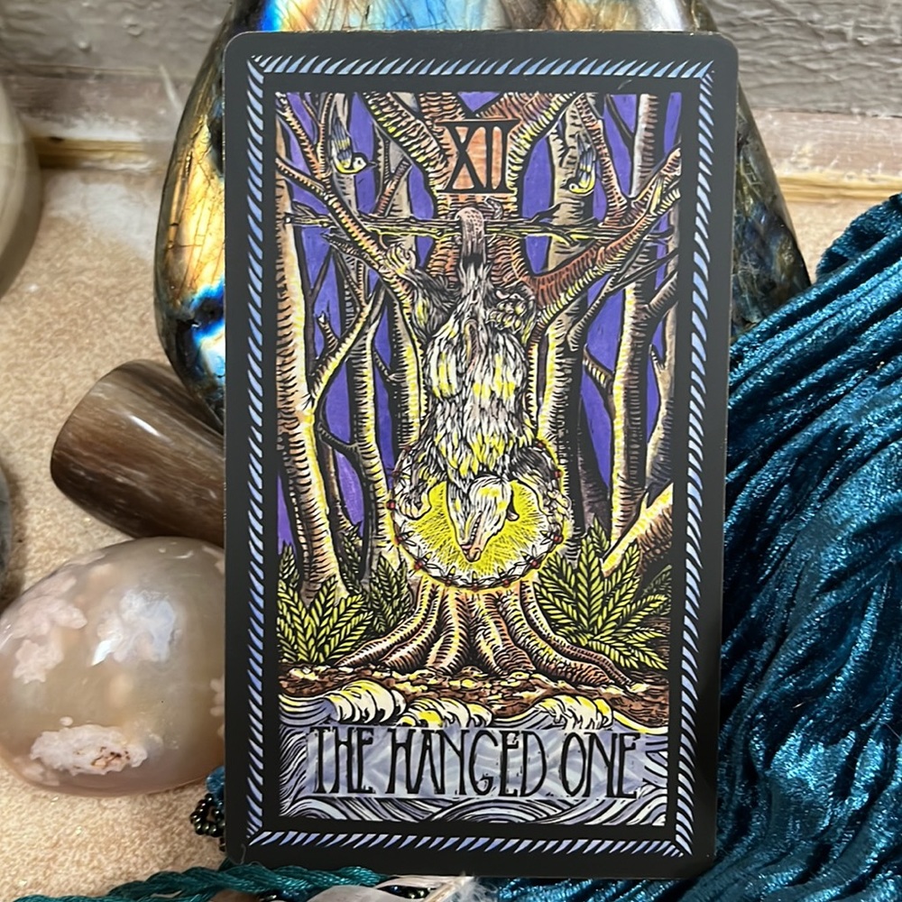 The Brady Tarot🦉🌟